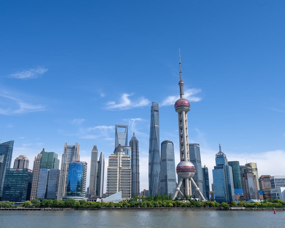 專業と誠実の選択