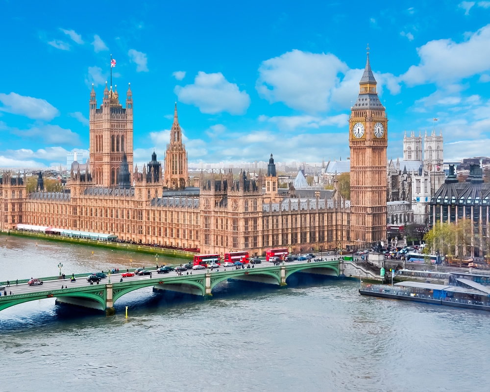 国際的なブルーオーシャンを開拓する